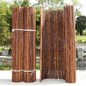 대나무 울타리 나무