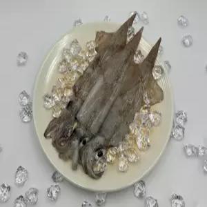 KM 동해안 급냉 한치 통찜 물회 1kg 15미 내외