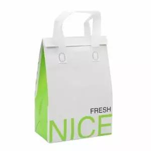 ( )쇼핑백 냉온 피크닉 보냉가방 프레시 아이스백 가방(20cmx29cm) 캠핑 런치백 도시락