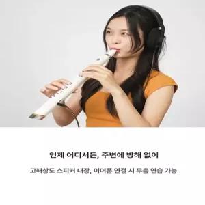 에어로폰 클라리넷 미니 단일 골드 관악기 연습용 휴대용 초보자 교육용 악기 소형 모델용