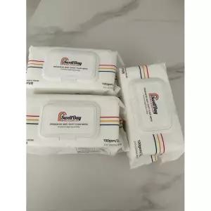 2+1 스웰데이 특대형 물걸레 청소포 30매입 3팩 평량 100 캡형 리필 일회용