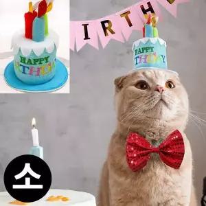 해피파티 SI28CX62 펫 이벤트 생일 생일초 머리띠 소 블루