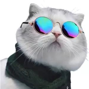 반려동물 미니 스타일리시 선글라스 및 미끄럼 방지 스트랩 세트 고양이와 반려견을 위한 멀티 컬러 패션