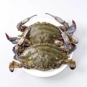 국산 제철 연평도 급냉 몽당 숫꽃게 1kg (랜덤)