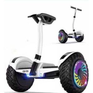 두발전동휠 왕발통 세그웨이 이륜 순찰용 19인치 호버보드 전동 이륜평행차 배터리 어드벤처