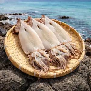 국내산 포항 구룡포 반건조 오징어 캠핑용 술안주 5미