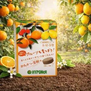 일본 하이포넥스 감귤 과수비료 유주 유자 금귤 레몬 오렌지 나무 과실수 식물영양제