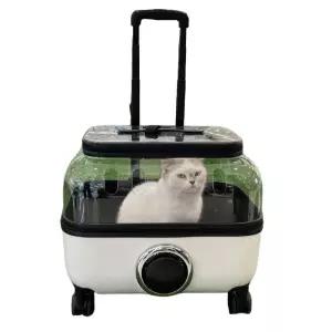 고양이투명캐리어 산책 슬링백 이동 켄넬 이동식 고양이캐리어 반려동물 강아지