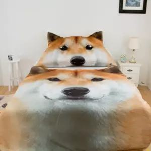 리즘 강아지 여름 낮잠 이불 에어컨 시바견 아래 솔솔