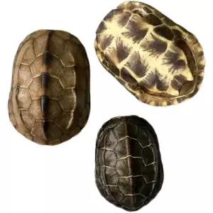 천연 장식품 거북이 모형 나무 공예품 인테리어 소품 완전천연 깔끔한