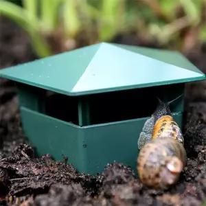 무한 달팽이 집 달팽이관찰케이지