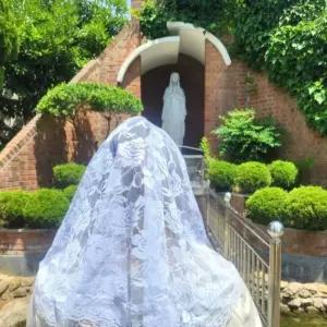 미사보 성체천주교 레이스 화이트 성당 천주교성물 천주교미사보 미사보