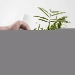 EA 미세분무기 자동분사기 가정용 캠핑용 200ml 300ml