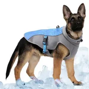 강아지 여름 쿨링 조끼 M 1P 아이스 메쉬 산책 강아지여름산책 강아지산책조끼