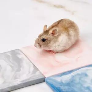 햄스터 도자기 쿨매트 곰인형 고슴도치 둣자리