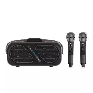 노래방마이크 반주기 듀얼 무선마이크 블루투스 스피커 가정용
