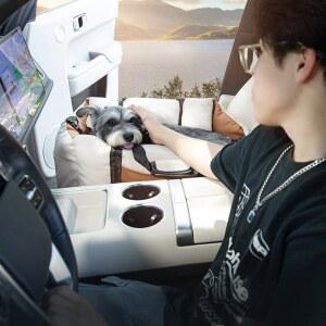 반려견 이동형 카시트 소파베드 강아지 방석 분리형 쿠션 베이지 60x50x38cm 애견