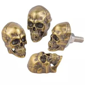 아렌벨 스컬 번호판 볼트 패스너 재미있는 자동차 프레임 태그 나사 키트 장착 오토바이 트럭 SUV 구리