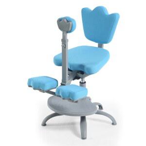 교정 의자 학생 체어 초등 공부 무릎 바른 보호 닐링 밸런스 허리 디스크