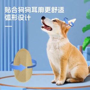 귀 세우기 개 강아지귀 귀청소기 귀고정기 귀세정제 개귀보호 귀세우기 1박스 전용