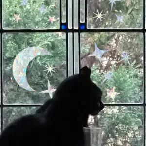 데코스티커 썬캐쳐 버드세이버 유리창 밤하늘 달 별 홀로그램 시트지 인테리어