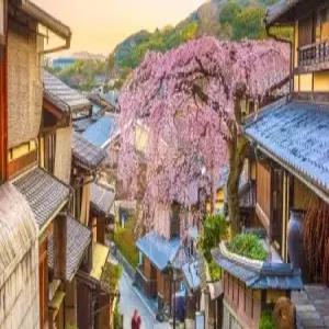 [자유N투어] 부산출발 오사카 3일4일 자유+교토 데이투어 남바 시내호텔