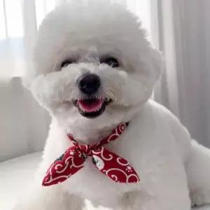 [반려] 강아지 웨이빙끈 리본 타이 1P 러블리 스카프 케이프