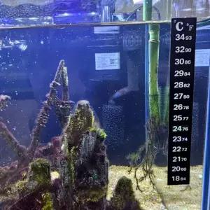 티에스몰 온도스티커 온도테이프 종이온도계