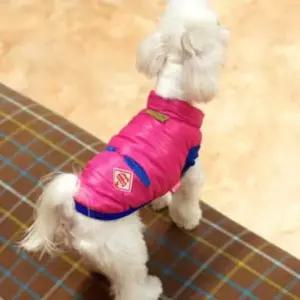 [반려] 패리스독 강이지 고양이 유니끄 패딩