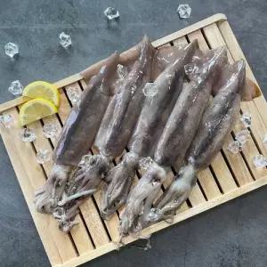 BS 국내산 구룡포 손질 통오징어 파지 500g 4개