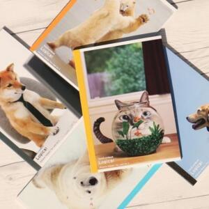 [2개구성] 나카바야시 A5 로지컬노트-애니멀 5권/팩 A508A-5P 공책 일본 대학 학생 고급 수입 EW74B7A2