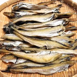 조미두절노가리 500g (앵치) 노가리 반건조노가리 조미된 제품 쪽빛누리