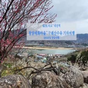[KTX] 광양매화 & 구례 산수유 기차여행 당일(3/6-31 대전역 당일)