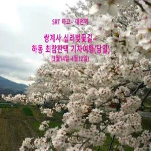 [SRT] 쌍계사 십리 벚꽃 / 최참판댁 기차여행 (당일 3/14-4/12 대전역)