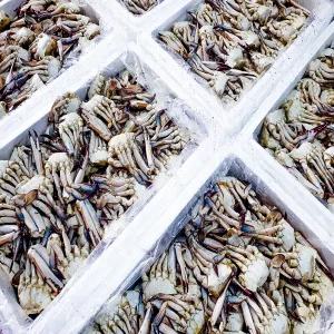 국내산 연평도 손질 꽃게 5kg 급랭 절단 게장용 무침용 업소용 암수랜덤