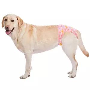 대형견 리트리버 빨간 골든 강아지 중대형견 기저귀 생리팬티