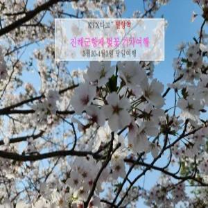 [KTX] 진해군항제 벚꽃+식사2식 당일기차여행(3/30-4/3 밀양역)