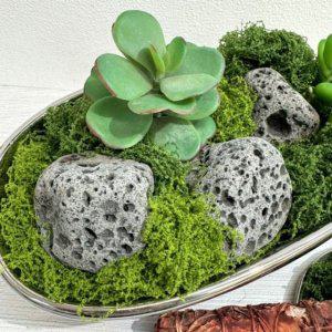테라리움 인조 플랜테리어 50g 이끼 장식 실내장식 인