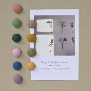 10P 자석 세트 마카롱