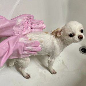 수세미 장갑 실리콘 설거지 핑크