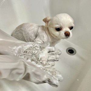 실리콘 그레이 장갑 설거지 수세미