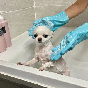 설거지 블루 수세미 실리콘 장갑