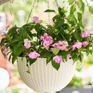 홀더 화분 펜던트 플랜터 바스켓 식물 2p 걸이식 바구니 행잉