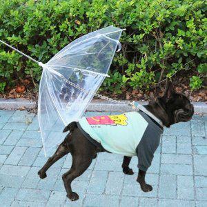 아이템 강아지 비 날 우산 오는 투명 애견 산책용품 필수