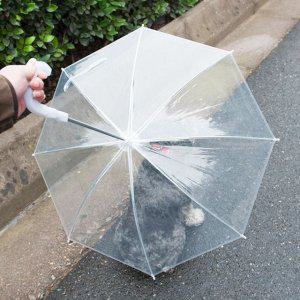 투명 산책용 우산 비 아이템 필수 날 오는 애견용품 강아지