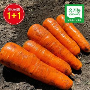 [1+1]♡유기농 인증♡제주 모슬포 유기농 아삭달콤한 햇 당근 상(120g~200g)