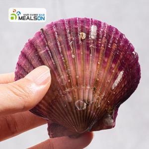 통영 제철 홍가리비 선별 세척 가리비 1kg 2kg 3kg 특상품 kg 20미내외