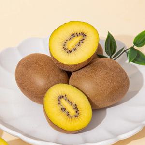 [더조은] 달콤한 국내산 골드키위 미니 2kg 40-45개