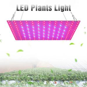 LED 식물 성장 빛 169LED 전체 스펙트럼 수경 온실 식물 성장 램프 채식 꽃 실내 초박형 패널 Phytolamp