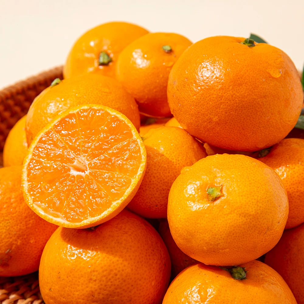 [더조은] 제주직송 서귀포 타이벡 감귤 (혼합과) 10kg